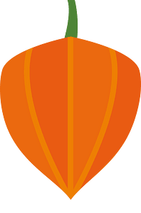 Chinese lantern plant