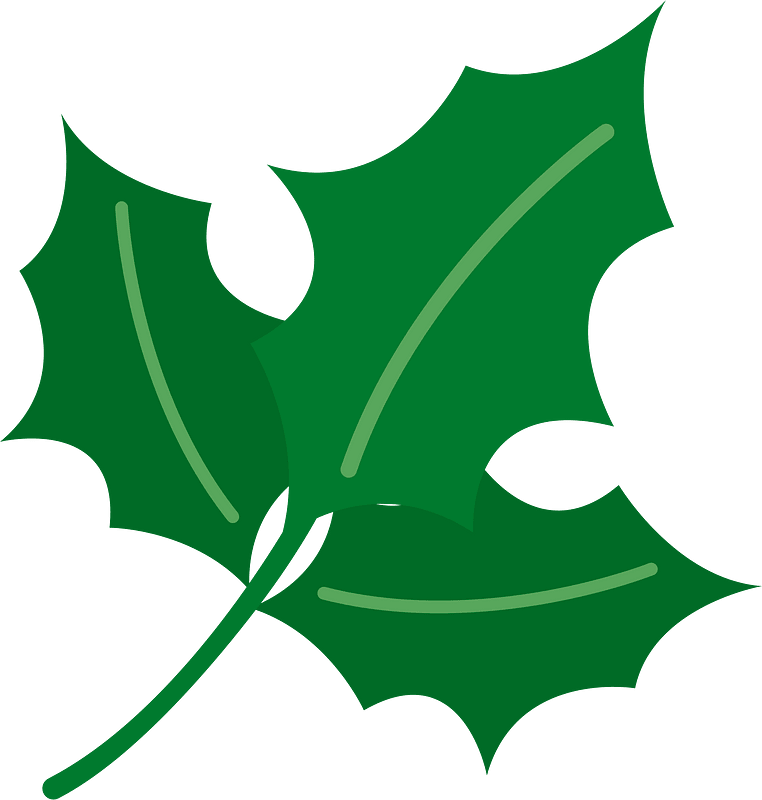 Christmas holly