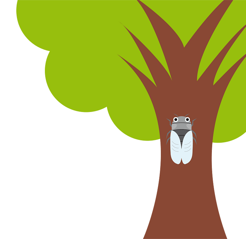 蝉