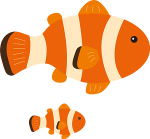 Clownfish