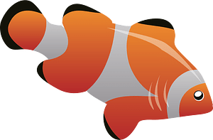 Clownfish