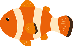 小丑魚