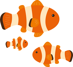 Clownfish