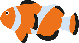 小丑魚