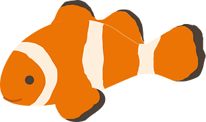 小丑魚