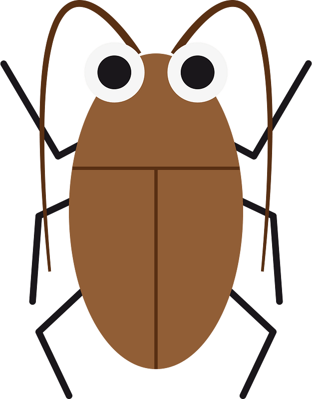 Cockroach insect