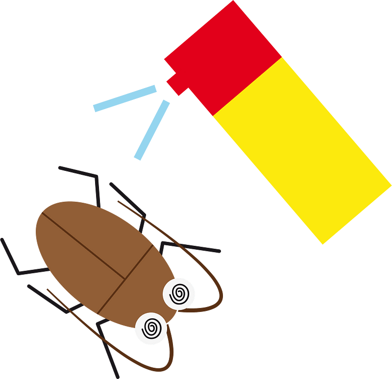 Cockroach insect