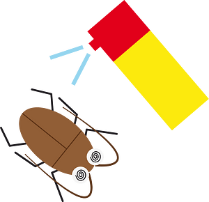 Cockroach insect
