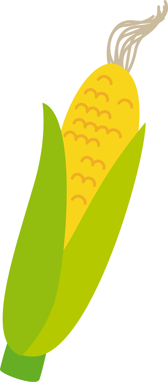 Corn