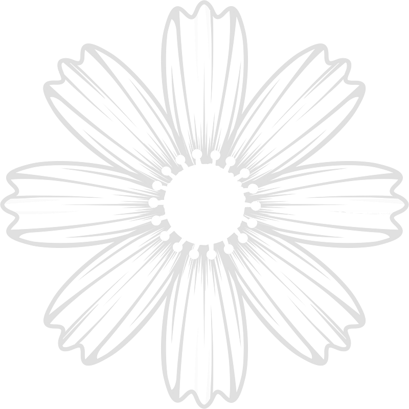 Cosmos flower