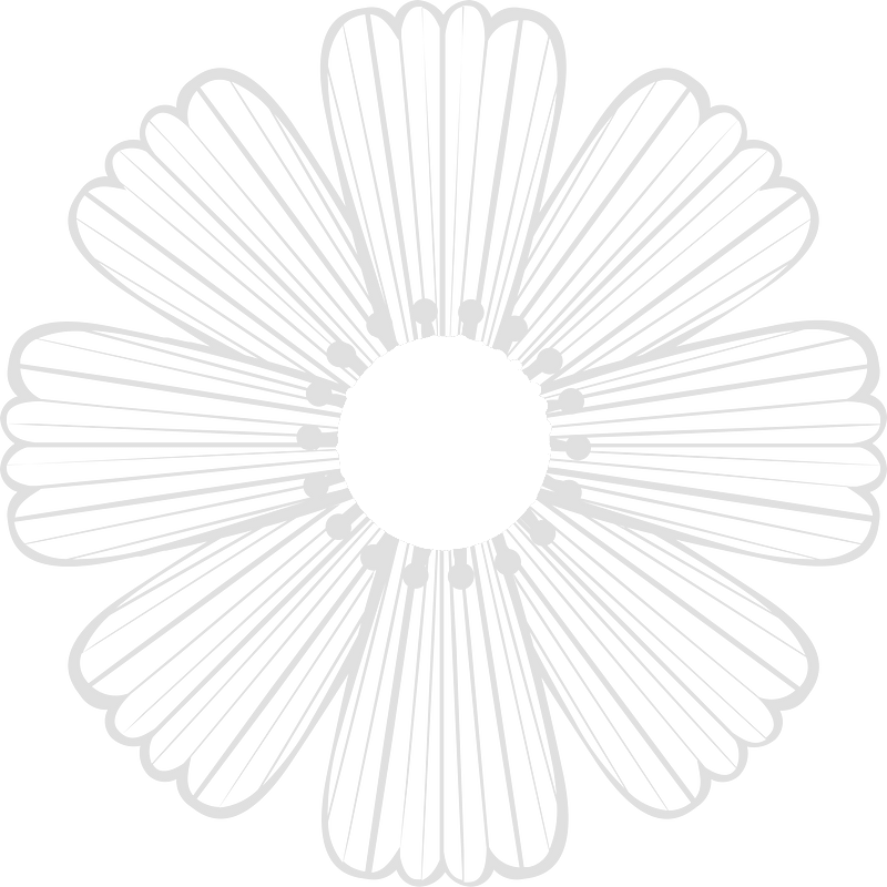 Cosmos flower