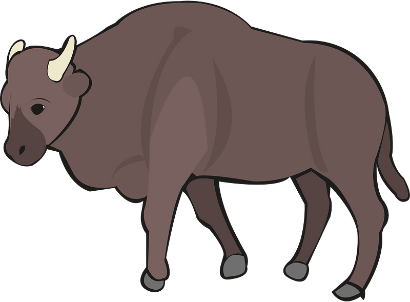 Cow