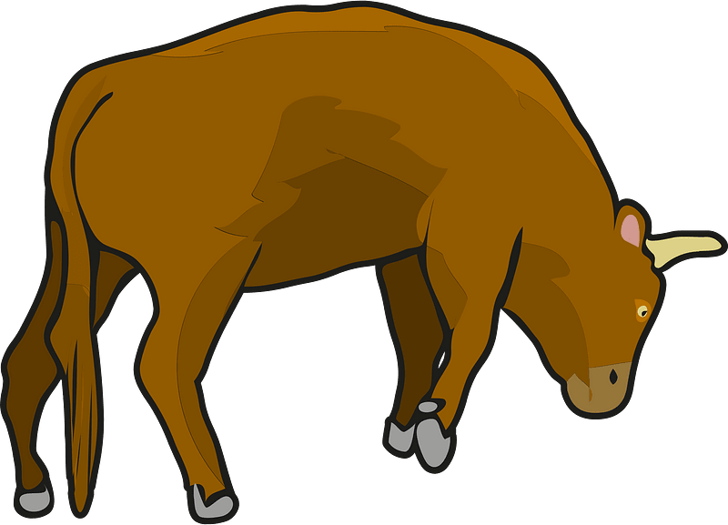 Cow