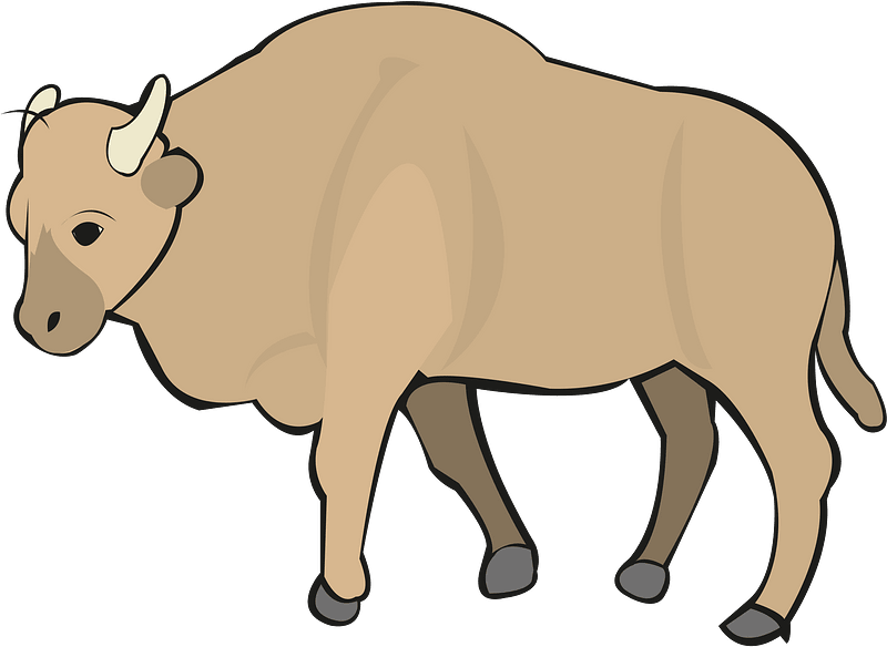 Cow