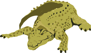 Crocodile alligator