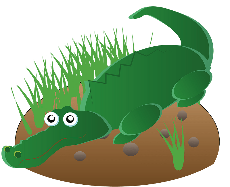 Crocodile alligator