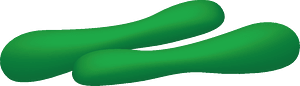 Cucumbers