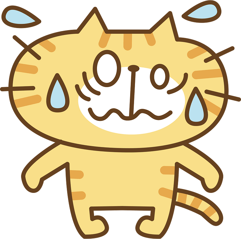 Cute cat