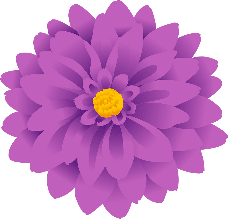 Dahlia flower
