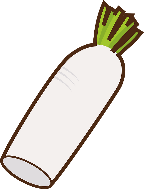 Daikon vegetable