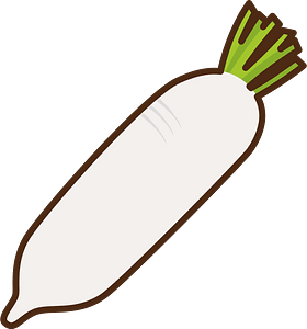 Daikon vegetable