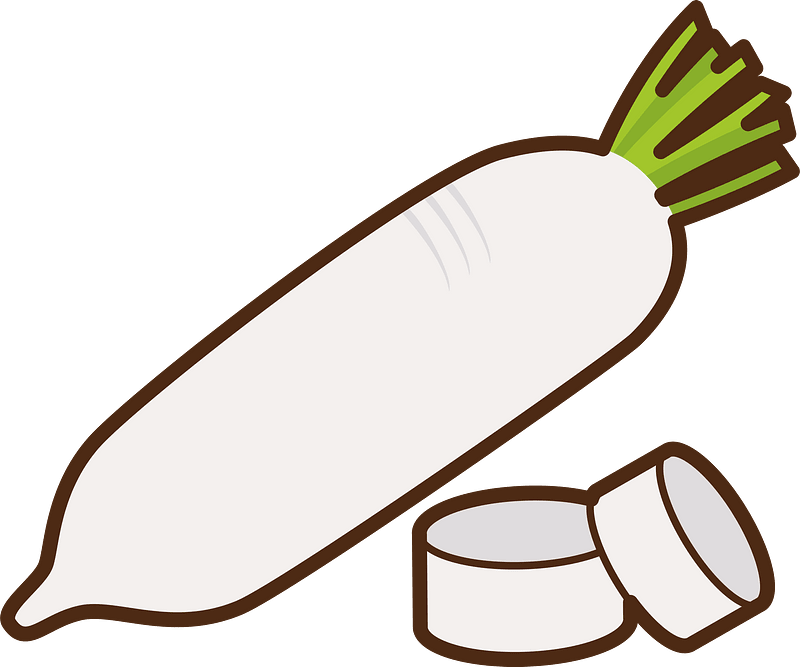 Daikon vegetable