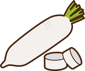 Daikon vegetable