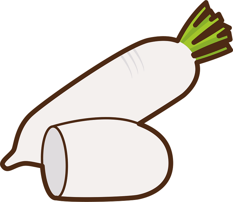 Daikon vegetable