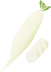 Daikon vegetable