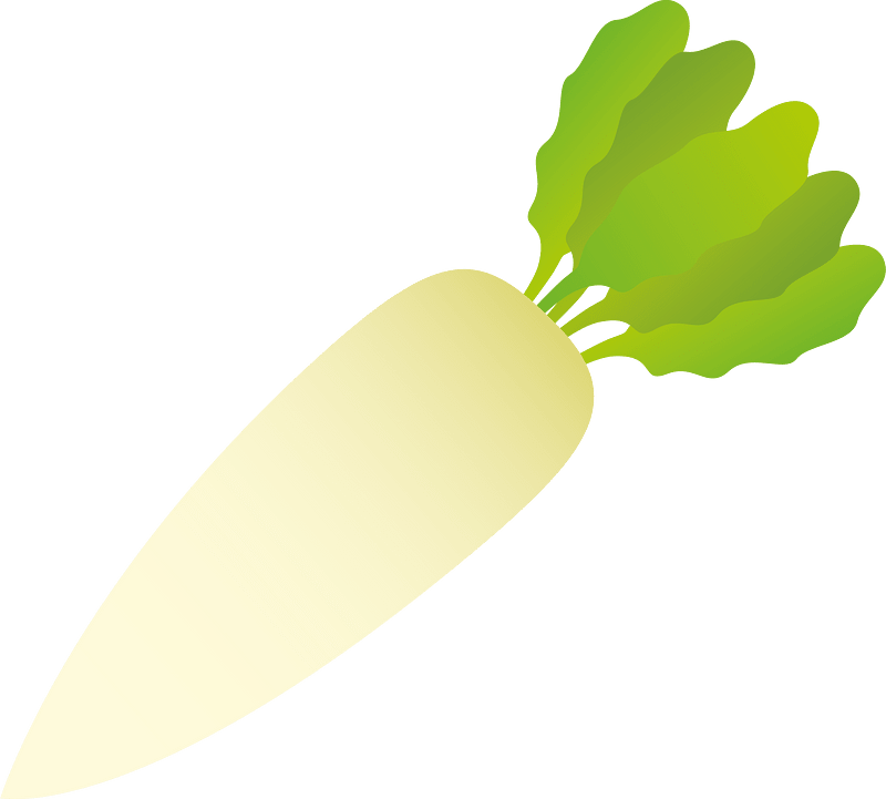 Daikon vegetable