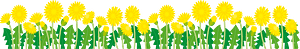 민들레 꽃