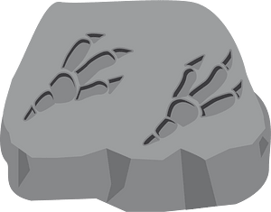 Dinosaur fossil