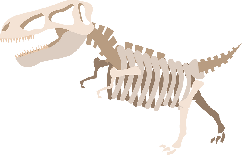 Dinosaur fossil