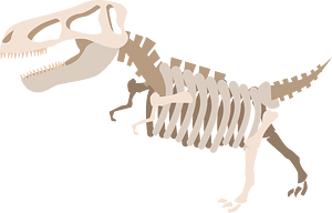 Dinosaur fossil