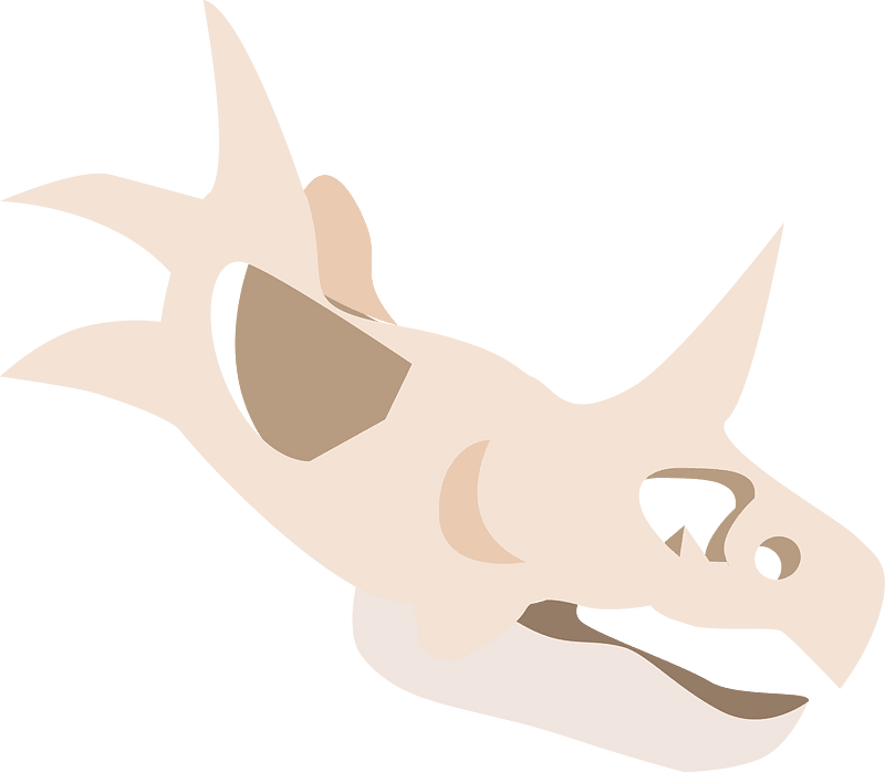 Dinosaur fossil