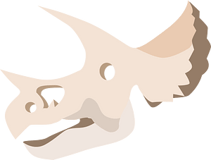 Dinosaur fossil