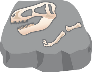 Dinosaur fossil