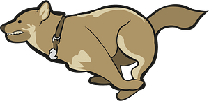 Running Dog