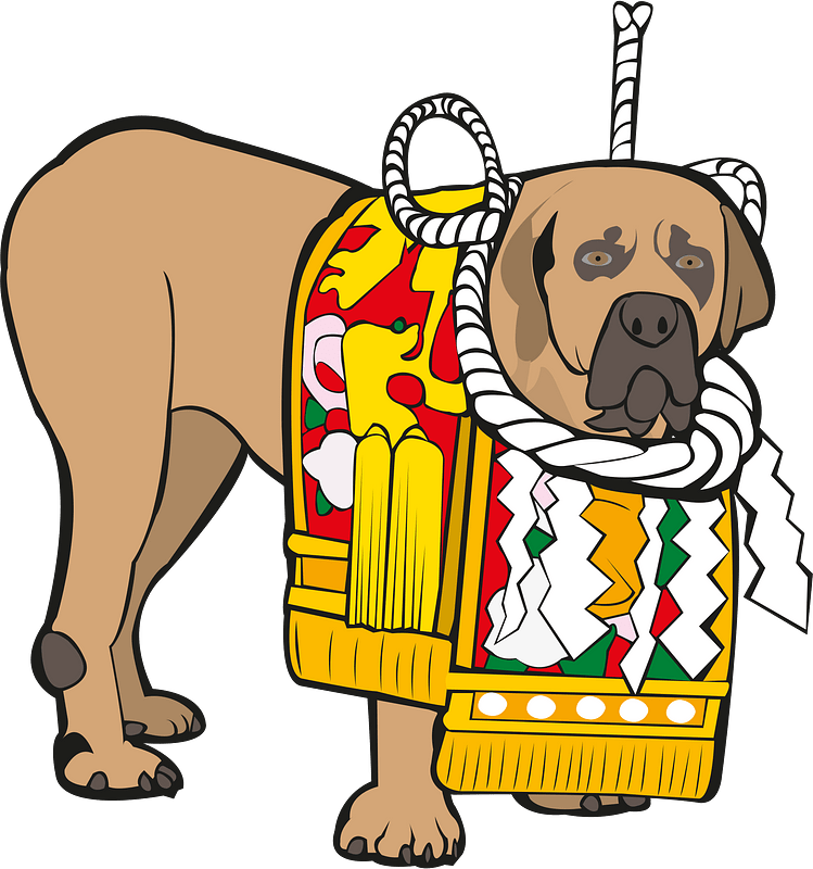 Dog animal