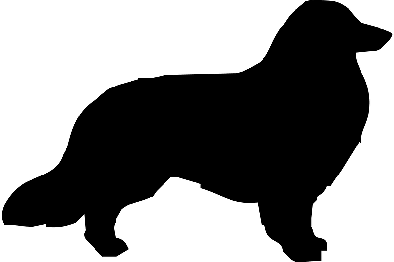 Dog silhouette