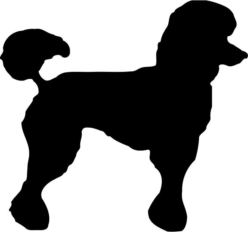 Dog silhouette