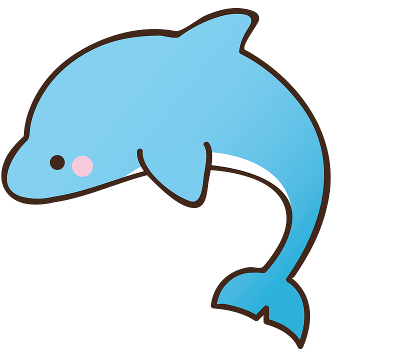Dolphin animal