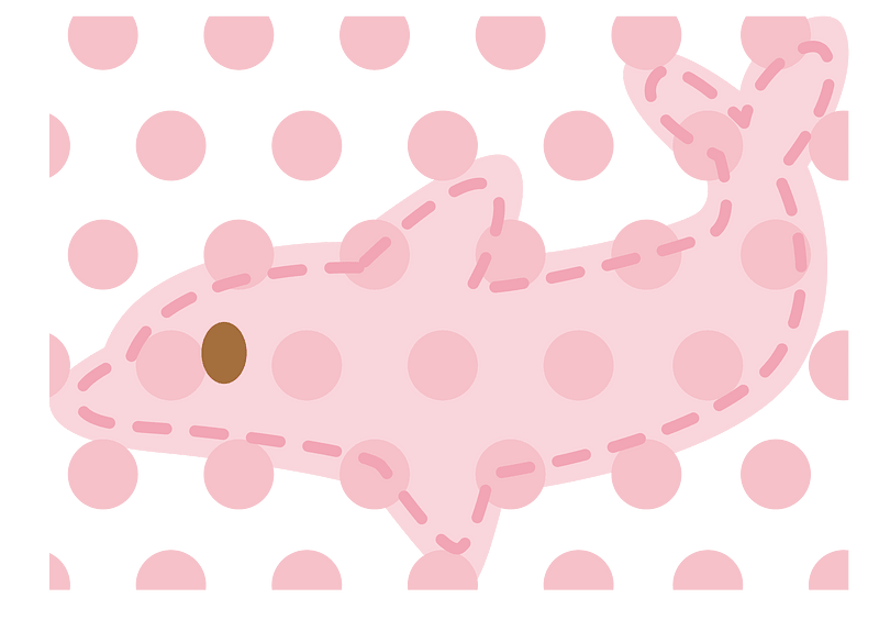 Dolphin applique