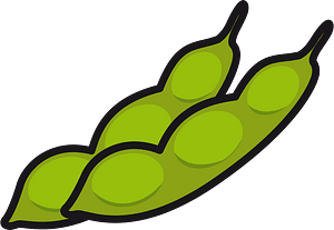 Edamame beans