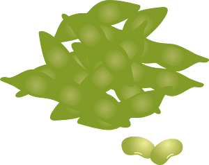 Edamame beans