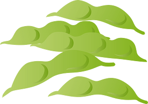 Edamame beans