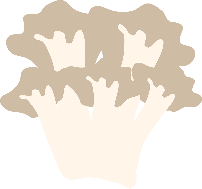 Edible mushroom