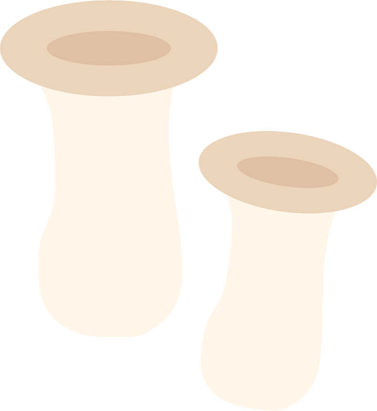 Edible mushroom