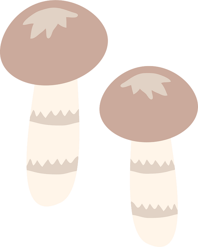 Edible mushroom