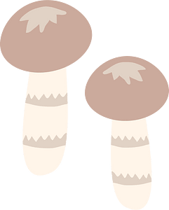 Edible mushroom